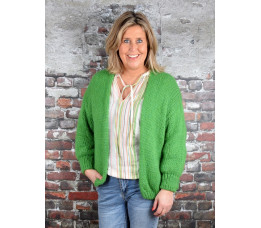 VEST PUCK groen